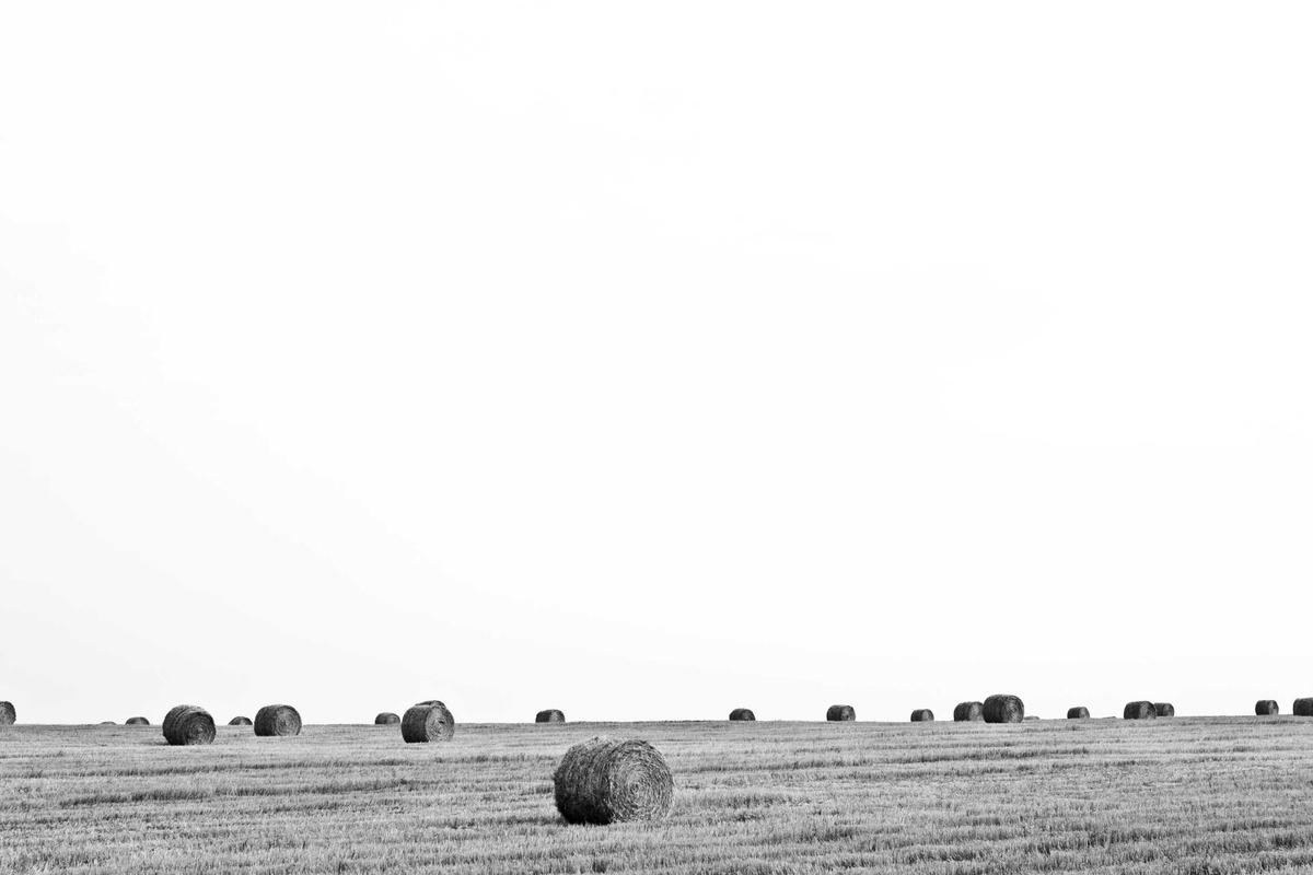 Comédiens en répétition sur un plateau nu